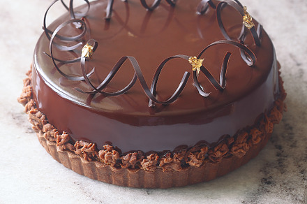 Chocolate Praline Mousse Cake