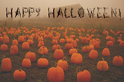 Halloween woody alphabet, a Script Font by AnastasiyaOleynik (Thumbnail 5 of 5)