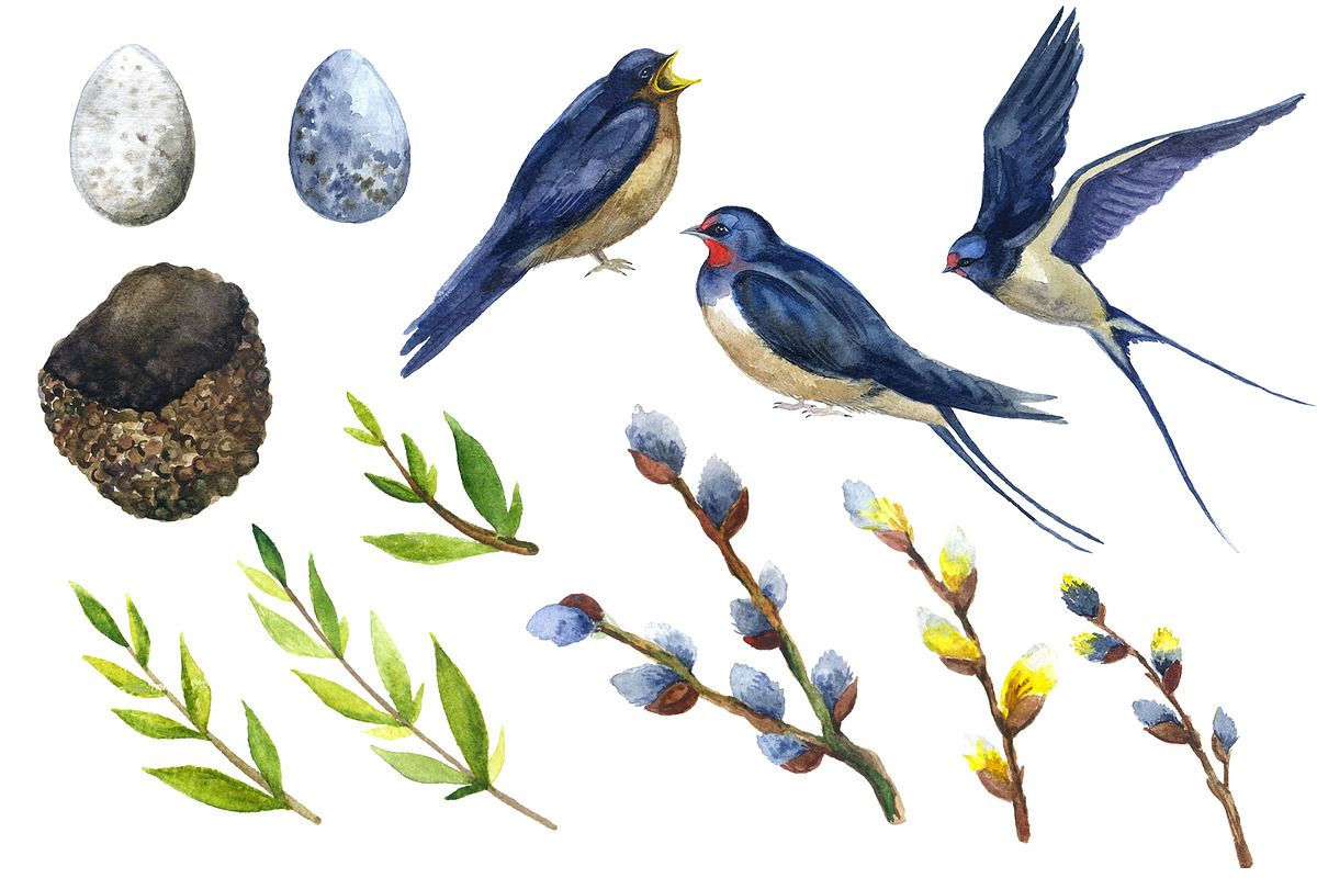 Watercolor bird swallow clipart png, an Animal Illustration by KomtsyanTatyanaArt (Photo 2 of 6)