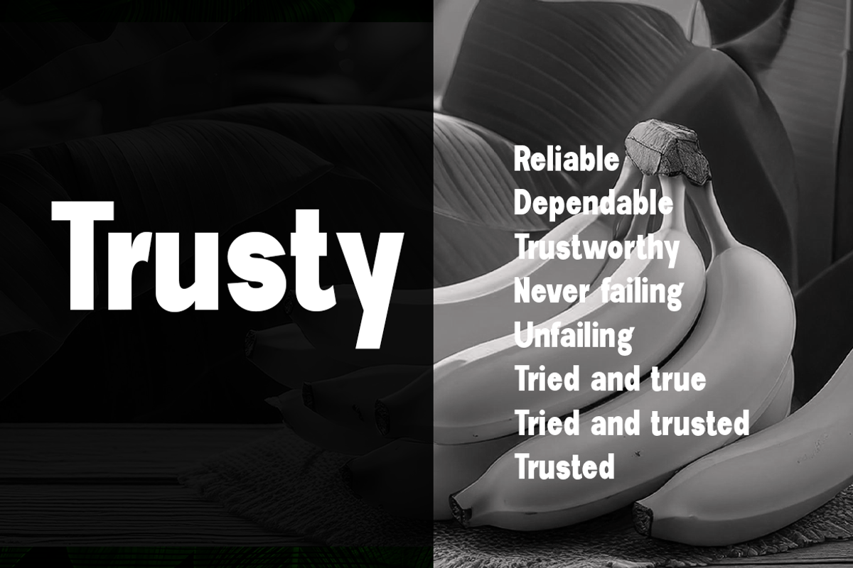 New Trusty, a Sans Serif Font by groens (Photo 3 of 6)
