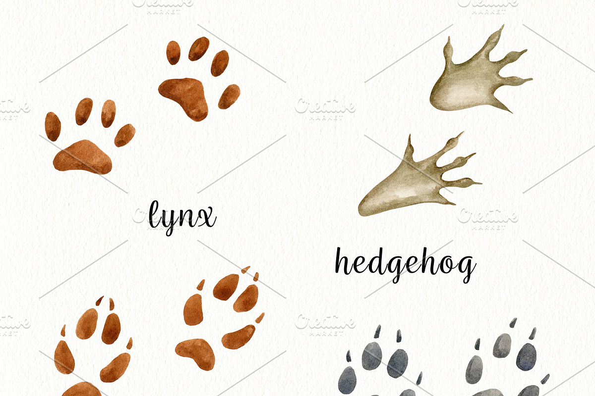 Watercolor Forest Animals Clipart, a Graphic by svetodesign (Photo 11 of 12)