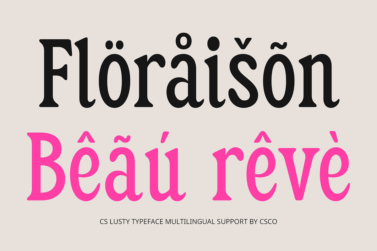CS Lusty – Serif Font, a Serif Font by Craft Supply Co. (Photo 3 of 8)