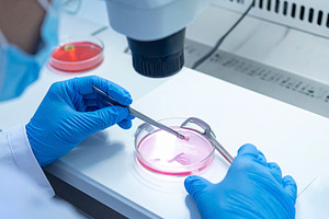 Fertility lab with a scientist handling a petri dish under a mic, a Health & Medical Photo by DanFLCreativo
