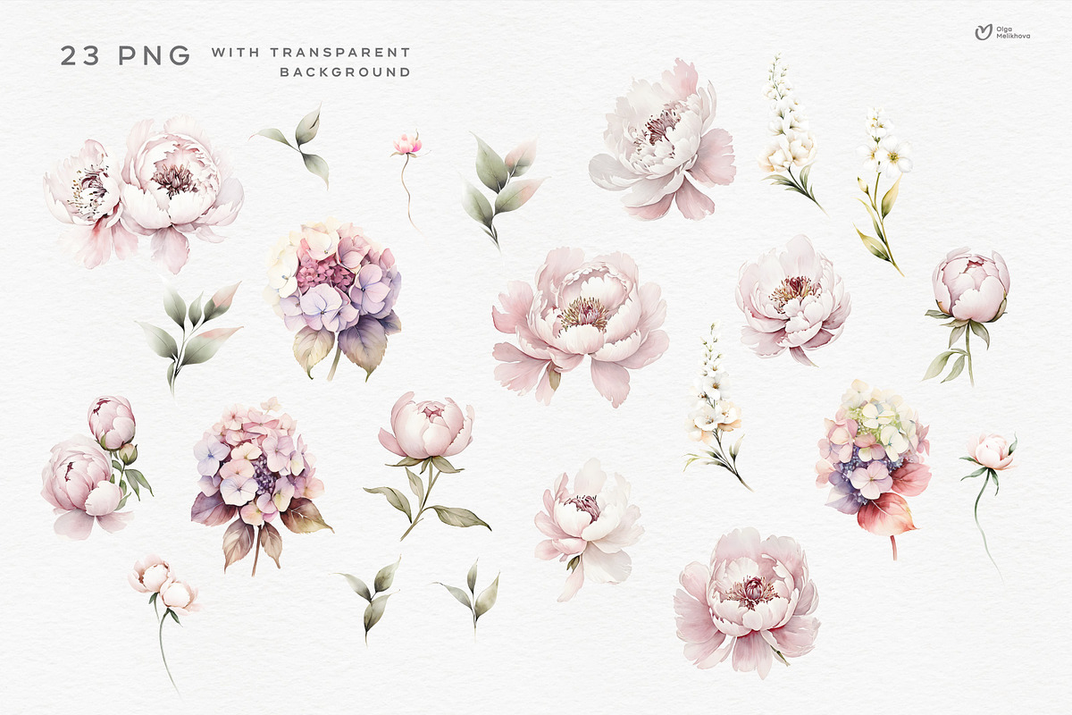 Pink Bloom, Watercolor peonies, an Object Illustration by ollalya (Photo 6 of 7)