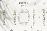 PLANTS & HERBS illustrations set, a Healthcare Illustration by Yuliia Lashevska (Thumbnail 11 of 14)