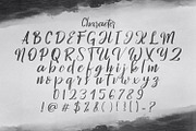 Hontizema - Handwritten Font, a Script Font by StringLabs (Thumbnail 11 of 12)
