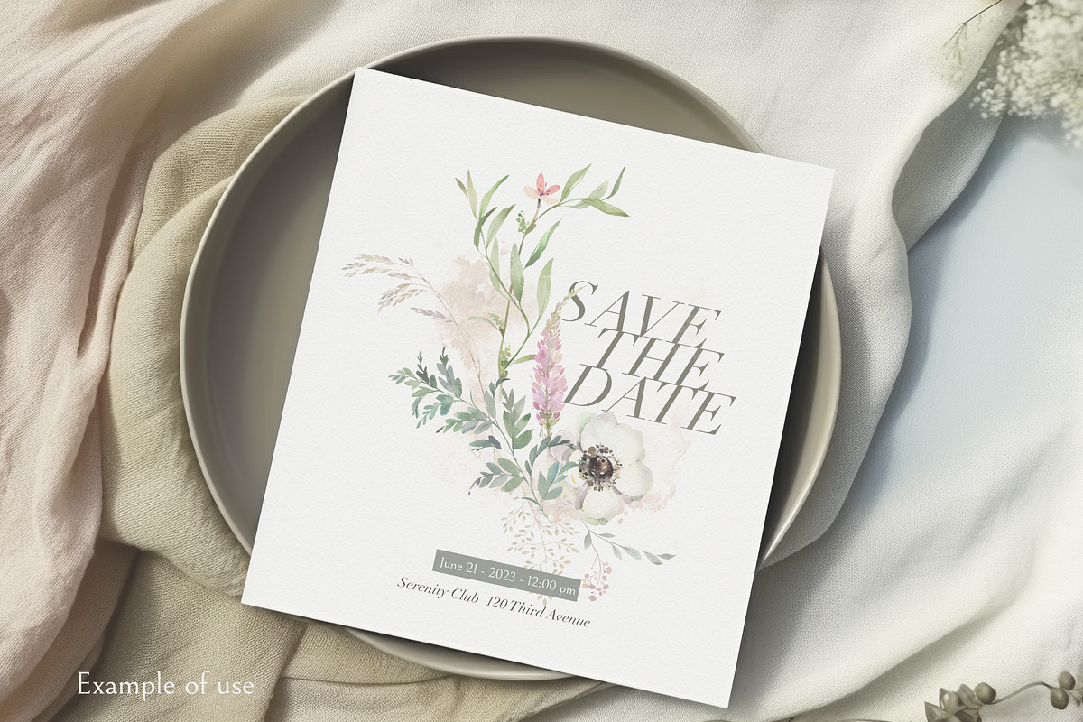 Serene. Watercolor Collection, an Illustration by OctopusArtis (Photo 3 of 7)