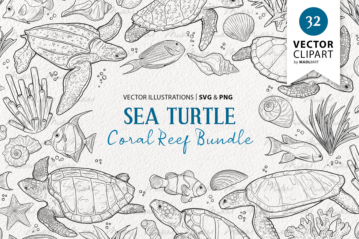Sea Turtle Coral Reef Vector Art, an Animal Illustration by MadliArt (Photo 1 of 4)