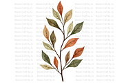Dried Eucalyptus Branches, a Decorative Illustration by Bloom Craft Creations (Thumbnail 2 of 10)