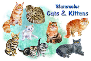 Cats And Kittens. Watercolor