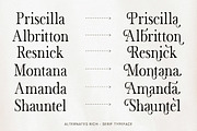 The Stripes Editorial + Italics, a Serif Font by Stripes Studio (Thumbnail 5 of 23)
