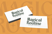 Bottarie Freestyle Display Font, a Serif Font by timelesstype.co (Thumbnail 3 of 20)