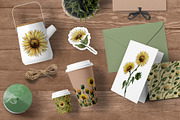Sunflower watercolor clipart, an Illustration by Dina Guiter (Thumbnail 7 of 8)