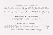 Clarisa Modern Script, a Handwritten Font by Heinzel Std (Thumbnail 6 of 7)