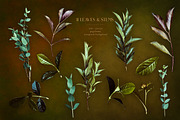 Sunset Floral Art Collection, an Object Graphic by Eclectic Anthology (Thumbnail 17 of 20)