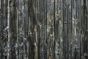 Rustic Wood Textures, a Background Photo by VetalStock (Thumbnail 8 of 10)