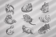 Vintage Bundle 2500+ Free Update, an Animal Illustration by Retro Machine (Thumbnail 74 of 170)