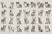 215 Dog Illustrations, an Animal Illustration by Nocturnal Wolf (Thumbnail 9 of 14)