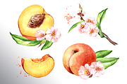 Honey Peaches. Original Watercolor, a Food Illustration by Daria Ustiugova (Thumbnail 4 of 21)