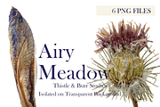 Airy Meadow – Thistle & Burr Studies, an Object Graphic by Aga Silva (Thumbnail 1 of 5)