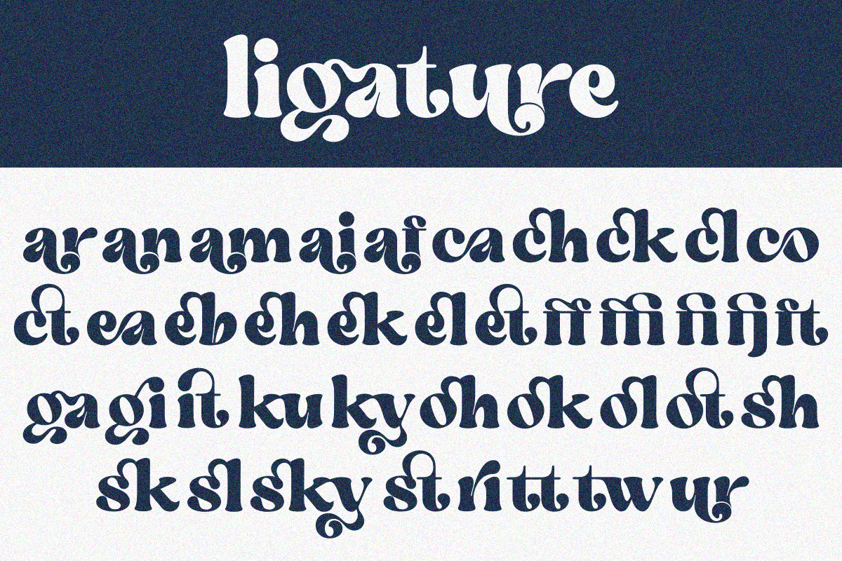 Gary, a Serif Font by zaaintype (Photo 2 of 10)