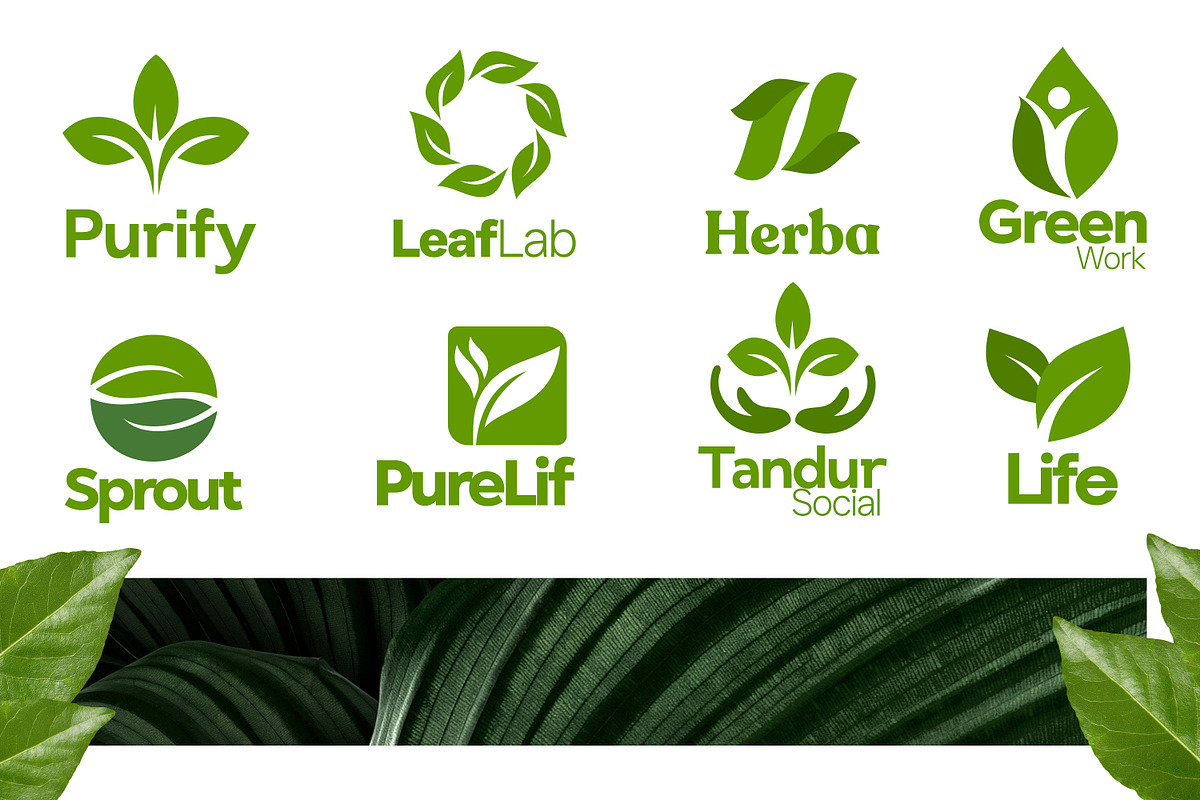 Leaf Logo Template Bundle, an Illustration by Tekuni (Photo 2 of 10)