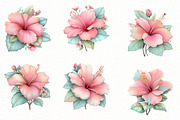 Watercolor hibiscus flower clipart, an Illustration by Designworld (Thumbnail 4 of 6)