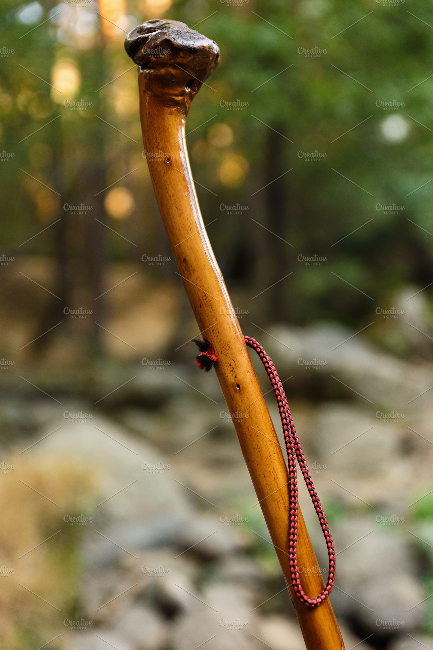 Detail of a hiking stick in a natura, a Holiday Photo by Perpis