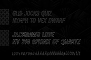GILDED | Neo Vintage 16-Font Family, a Sans Serif Font by Ckybe's Corner (Thumbnail 7 of 18)