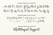 Shafeer, a Script Font by Abo Daniel Studio (Thumbnail 10 of 15)