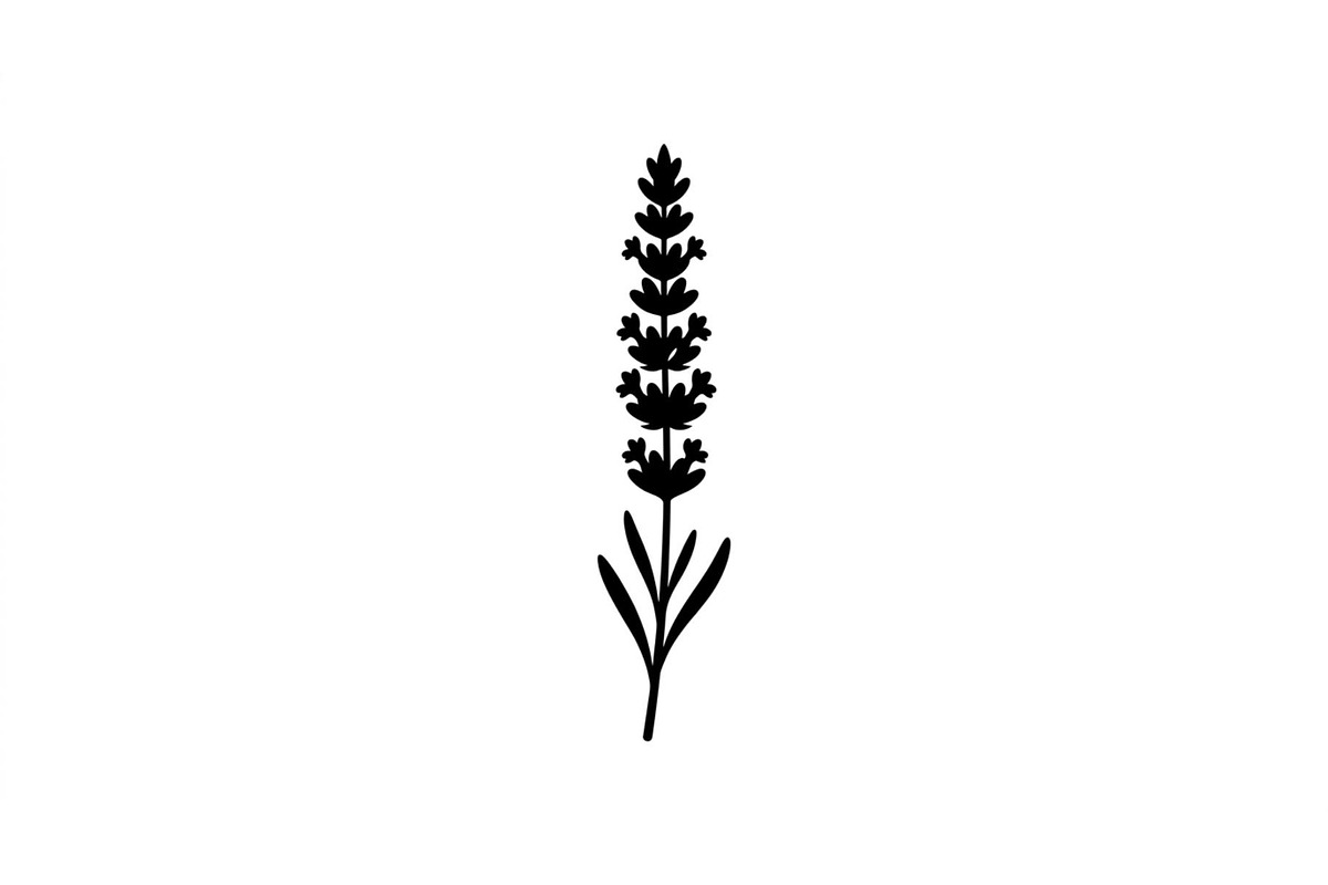 Lavender Flower Silhouette Set, an Object Graphic by Designer_Momina (Photo 3 of 3)