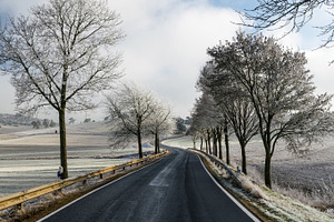 Curvy road/alley in winter