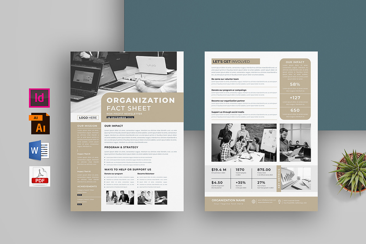 Organization Fact Sheet | Bundle, a Flyer Template by obayes