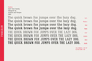 Raiden - Serif font family, a Serif Font by Artistic & Unique (Thumbnail 12 of 13)