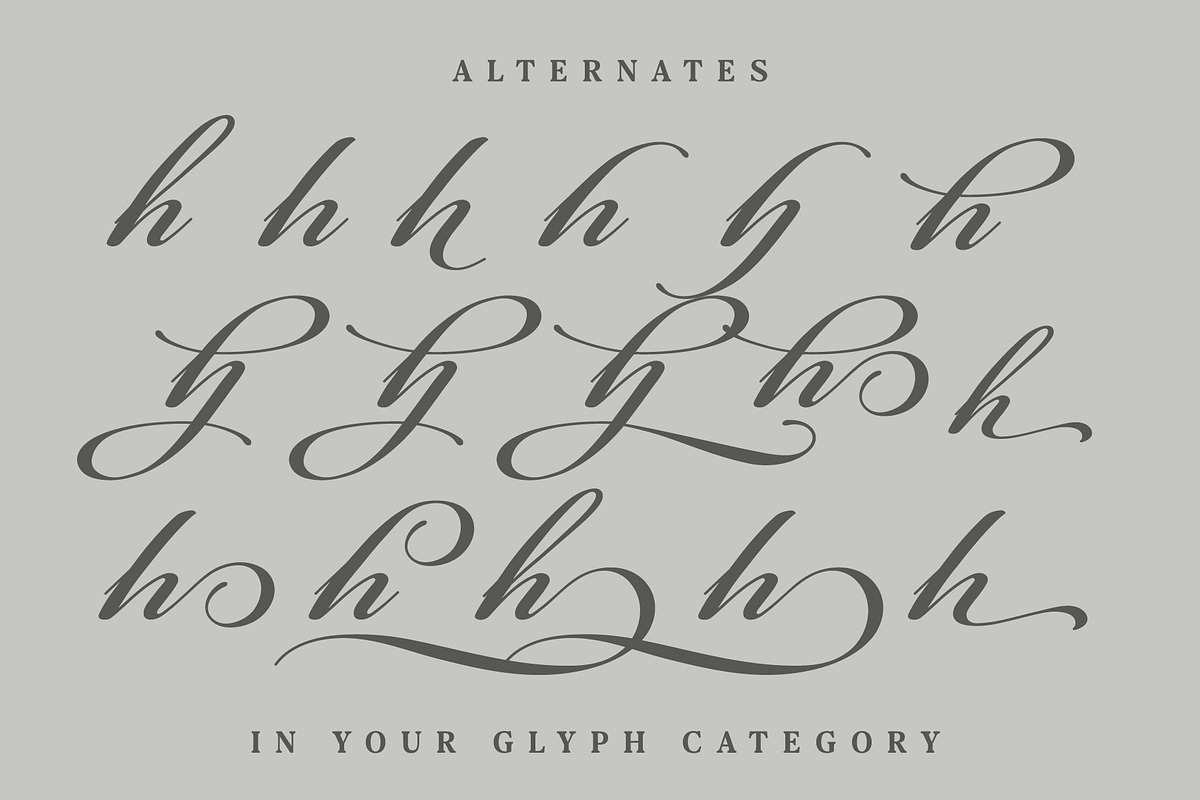 Film Storia, Calligraphy Font, a Script Font by Andfonts (Photo 6 of 8)