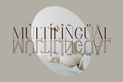 Thirossa _ beauty typeface, a Serif Font by Penatic Studio (Thumbnail 8 of 10)