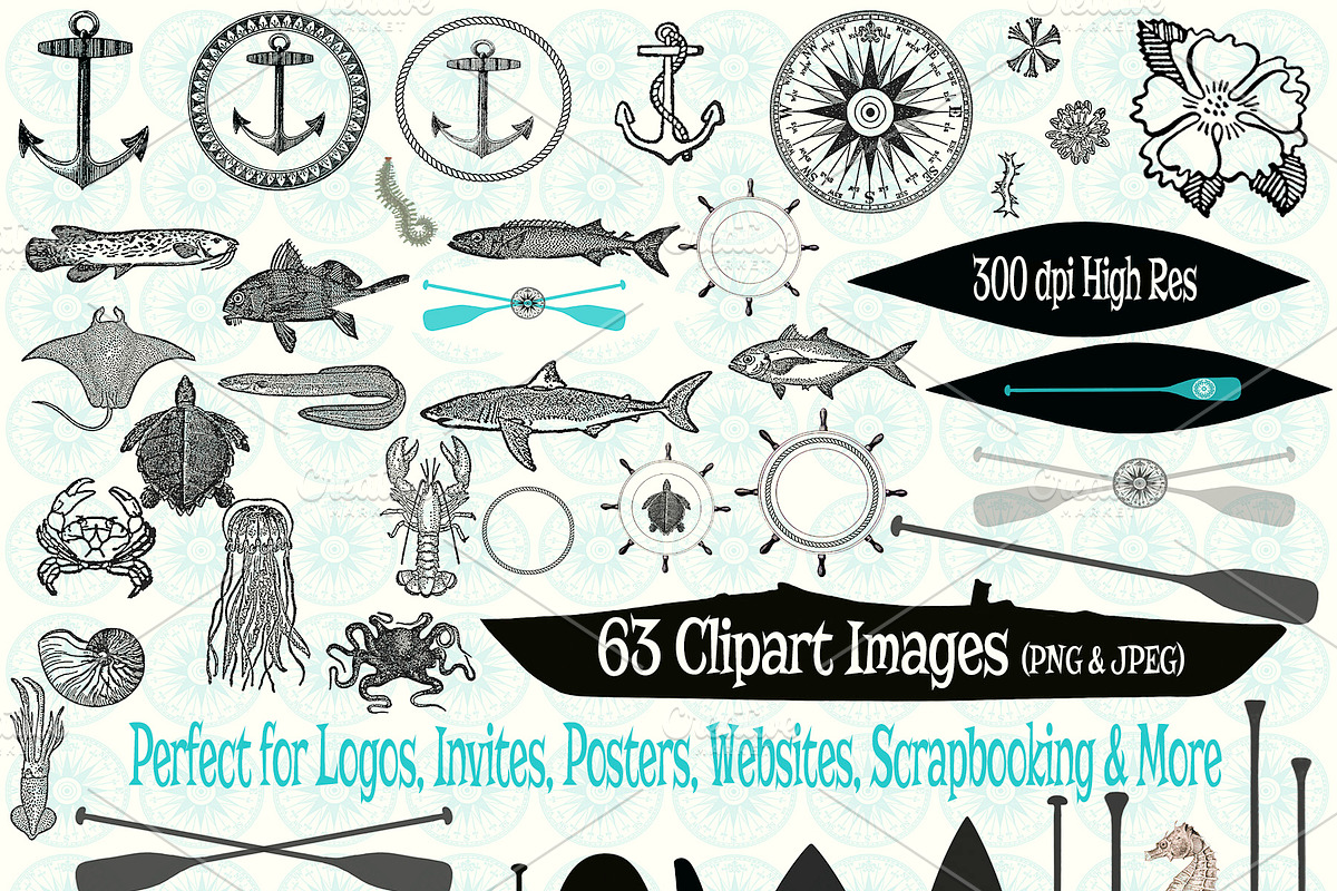 Sand & Sea Brush Clipart & Patterns preview 3