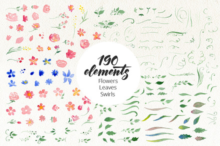 DIY Watercolor flowers. 190 elements