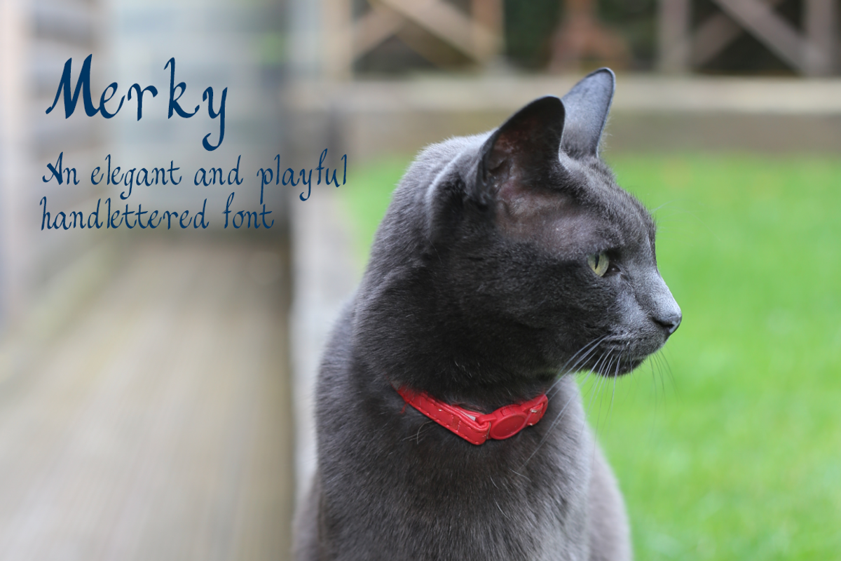 Merky - an elegant and playful font