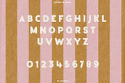 Riviera Du Soleil Font Duo, a Script Font by ana & yvy (Thumbnail 14 of 17)