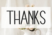 Photography, a Sans Serif Font by FreshTypeINK (Thumbnail 8 of 8)