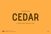 Cedar Display Font, a Sans Serif Font by bryrude (Thumbnail 1 of 5)