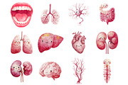Kawaii Anatomy Clipart Bundle, an Education Illustration by InkyQueenArt (Thumbnail 4 of 5)