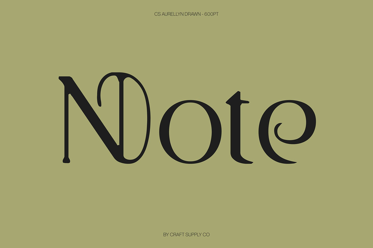 CS Aurellyn Drawn, a Serif Font by Craft Supply Co. (Photo 2 of 8)