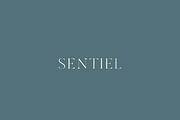 Sentiel Brand Proposal | Indesign CC, a Branding & Logo Template by Mindful Mapbooks Co. (Thumbnail 2 of 7)