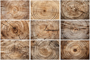 Cut Wood Texture Background, a Texture Graphic by Forhadx5 (Thumbnail 3 of 8)