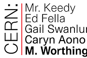 Cern & Cern Display, a Sans Serif Font by Wordshape (Thumbnail 4 of 5)
