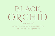 Ubud. Contemporary serif font, a Serif Font by LostandFoundry (Thumbnail 5 of 8)