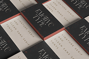 Emotive Type - creative font duo, a Serif Font by VP Fonts (Thumbnail 11 of 17)