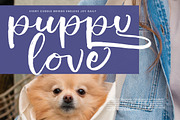 Shiny Cottage Modern Handbrush Font, a Script Font by stylishtype.co (Thumbnail 14 of 20)